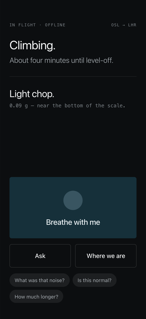 Steady in flight mode: Climbing, about four minutes until level-off, and Light chop at 0.09 g